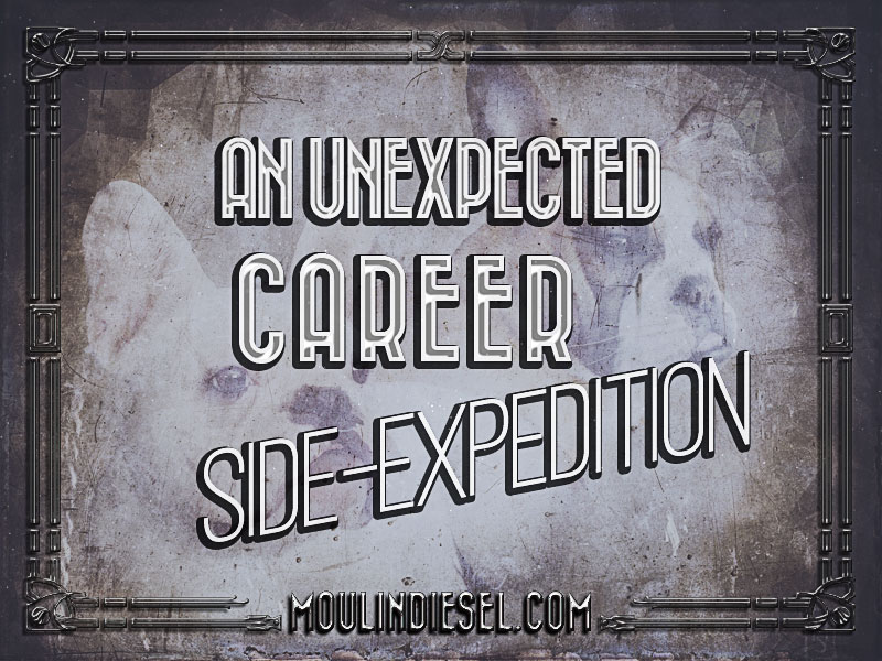 blog image for "an unexpected career side-expedition" post