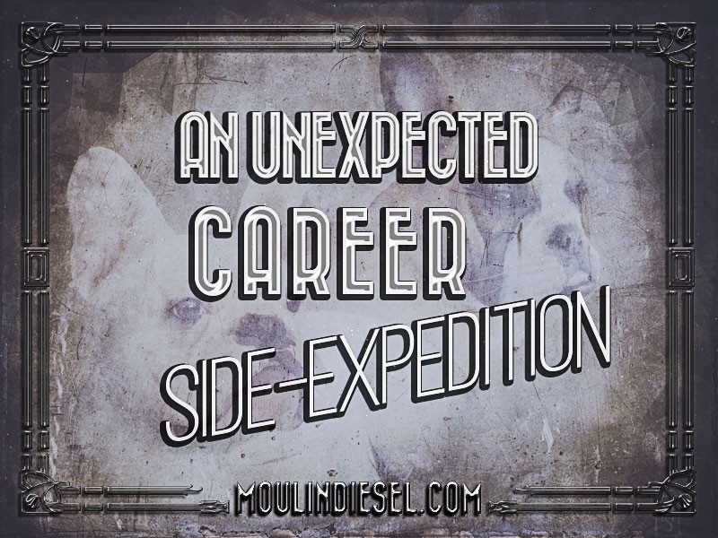 An Unexpected Career Side-Expedition